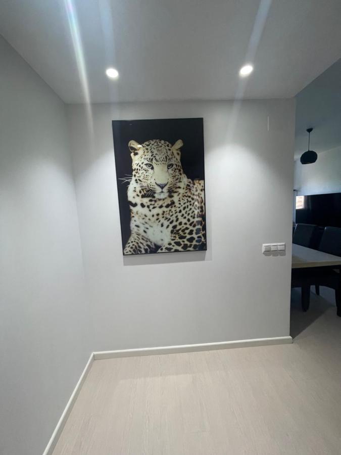 Apartamento Coman Av Rey Juan Carlos I Daire Torrent  Dış mekan fotoğraf
